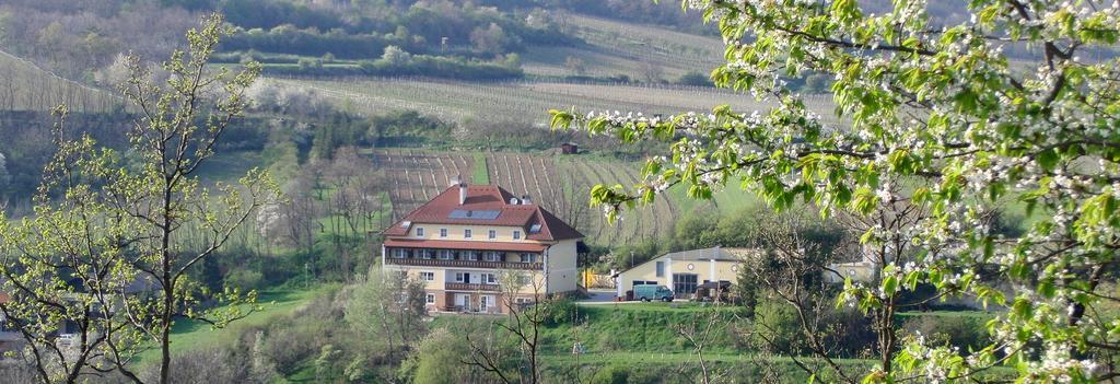 Hotel Pension Rudi - Weingut Kellner Pulkau Exterior foto